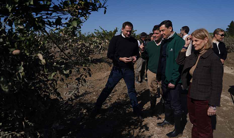 MORENO RECLAMA A EUROPA QUE SUME CUANTO ANTES SUS RECURSOS AL PLAN «ANDALUCÍA ACTÚA»
