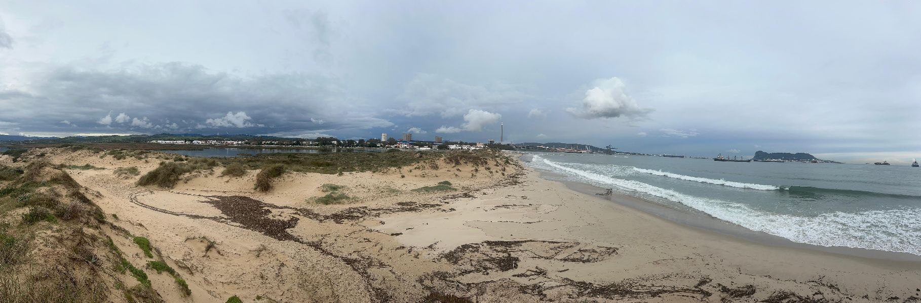 VERDEMAR ALERTA DE LA REGRESIÓN DEL CORDÓN DUNAR DE LA PLAYA DE EL RINCONCILLO DE ALGECIRAS