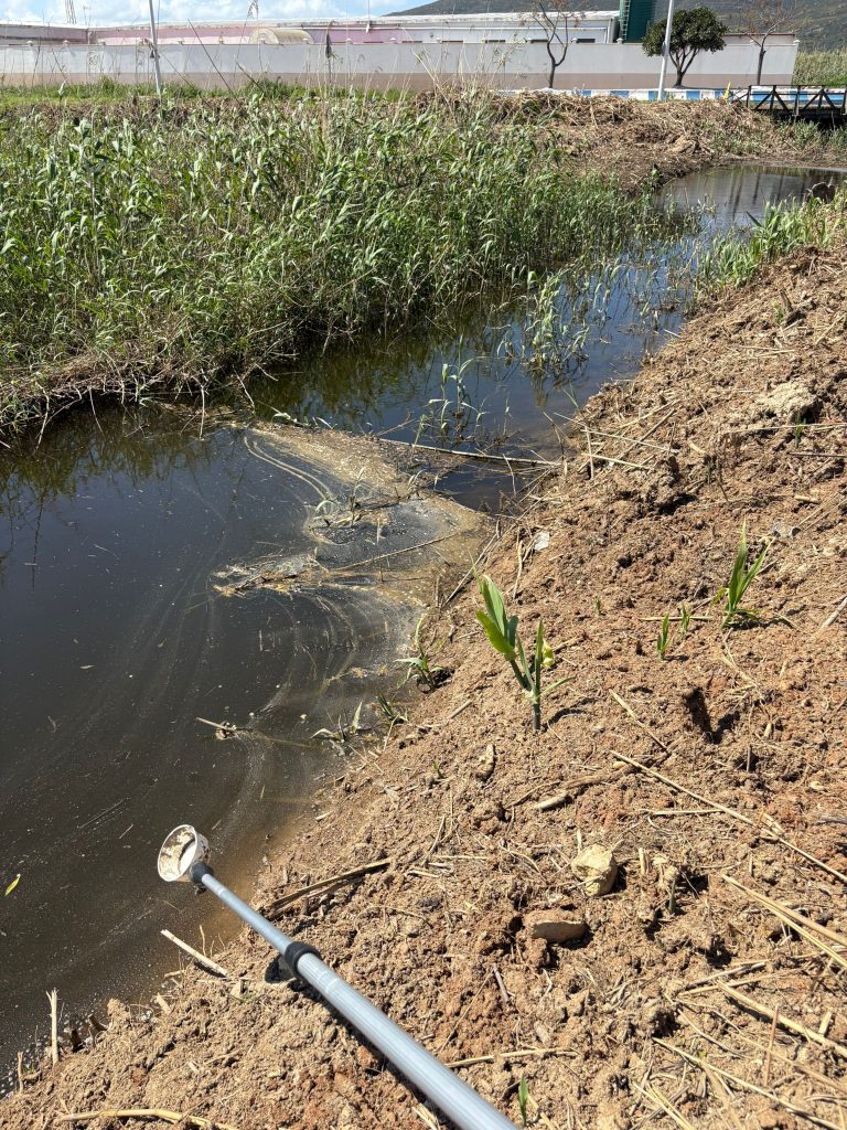 EL AYUNTAMIENTO DE LA LÍNEA REFUERZA LA PREVENCIÓN Y EL CONTROL DE MOSQUITOS DURANTE LA PRIMAVERA