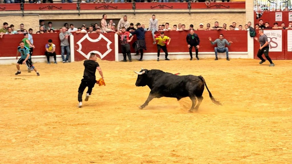 LOS BARRIOS DISFRUTA CON SU FIESTA DEL TORO EMBOLAO